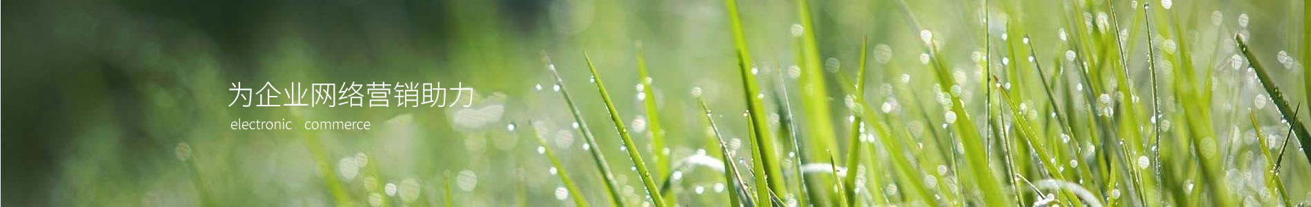ൺشƷ޹˾